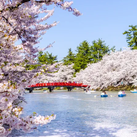 لرؤية تفتح الأزهار والنشاطات في الهواء الطلق 3 وجهات ربيعية مثالية