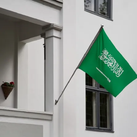 المنزل في يوم العلم