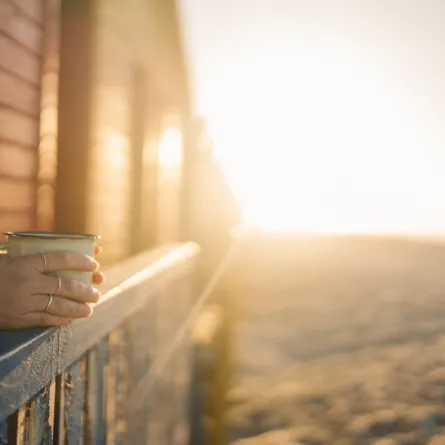 الصباح تشرق فيه الشمس بجرأة