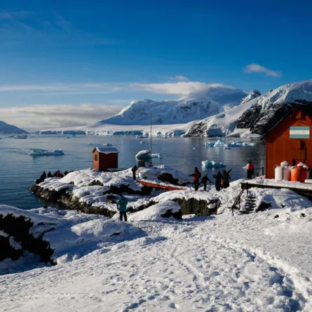 رحلة إلى أنتاركتيكا