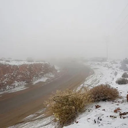 جبل اللوز يكتسي الأبيض مع تساقط الثلوج