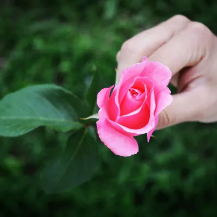 حكم جميلة عن الحياة