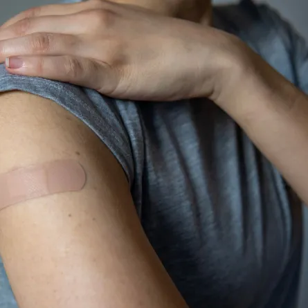 صورة تعبيرية عن لصقة الحمل