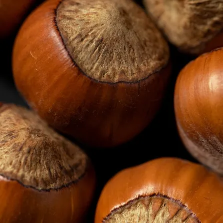 فوائد البندق (المصدر: Pexels)