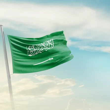 الـ(11 مارس) من كل عام يوما خاصا بالعلم باسم (يوم العلم)