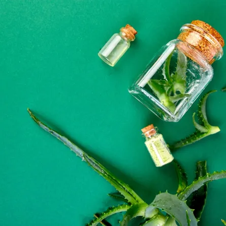 وصفات لنضارة الوجه والجسم وطرق تطبيقها بخطوات سهلة