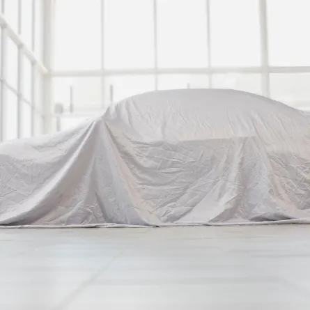 سيارة مغطاة 