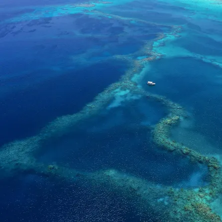 قارب يرسو قبالة الشعاب المرجانية في البحر الأحمر -المصدر:العلاقات العامة لهيئة السياحة