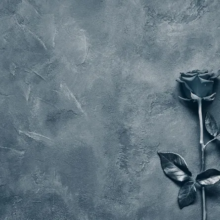 وفاة الممثلة جودي فاريل عن عمر 80 عاماً- الصورة من shutterstock