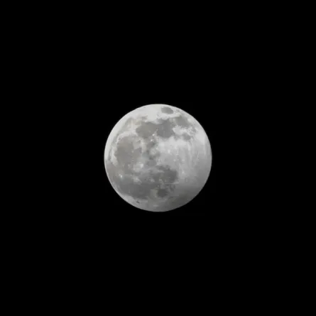  الذكاء الاصطناعي يطال مجال التصوير الفوتوغرافي. الصورة من موقع dropbox