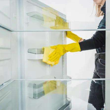 تنظيف الباب المطاطي للثلاجة