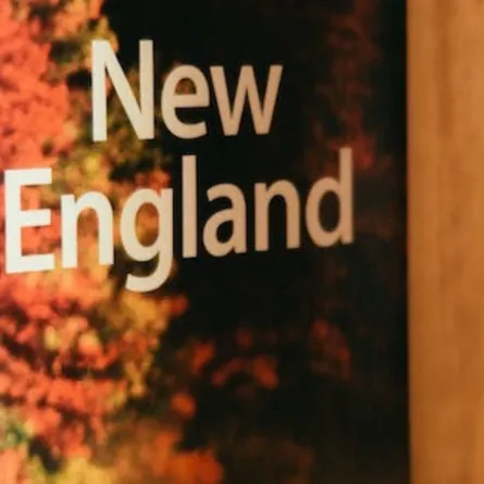 أبرز 22 كلمة جديدة أضافها قاموس أكسفورد عام 2023