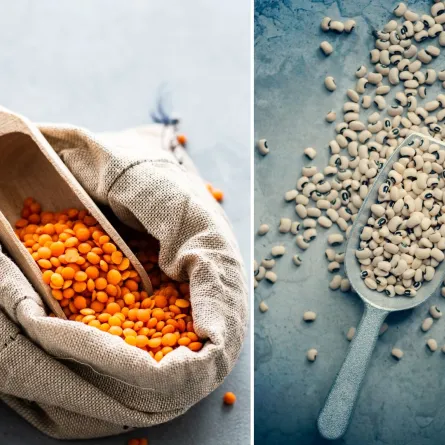 قسمة زكاة الفطر