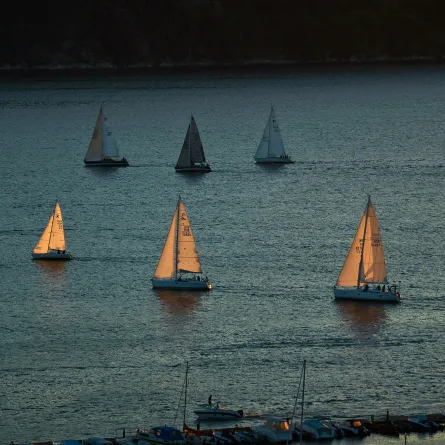 انطلاق سباق دلما التاريخي. الصورة من موقع unsplash