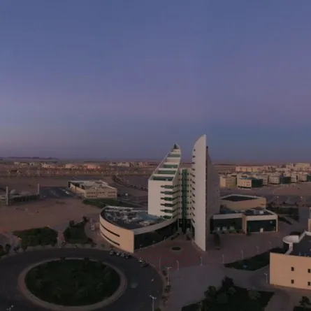 جامعة نجران