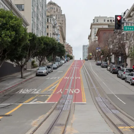 جرذان بحجم القطط تخيف سكان بلدة سياحية بريطانية