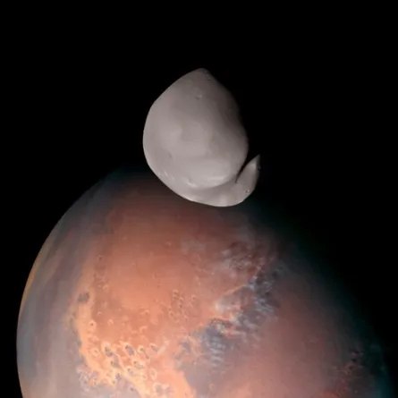 مسبار الأمل يلتقط صورة لقمر ديموس. الصورة من حساب الشيخ محمد بن راشد على تويتر