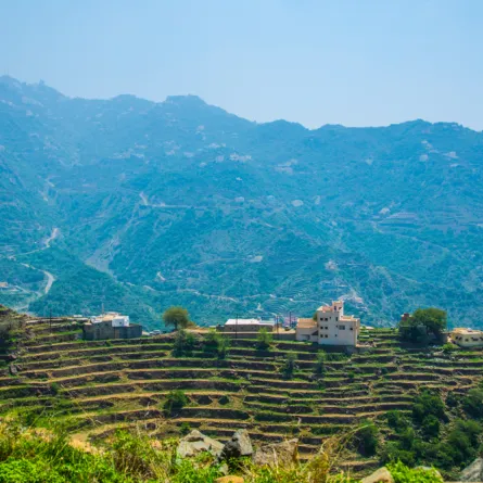 أبها وجهة جذابة