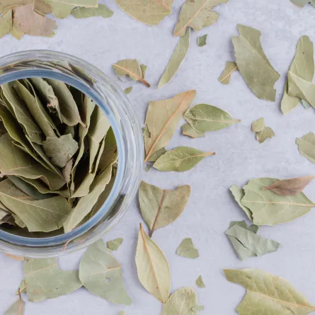 أضرار ورق الغار للتنحيف