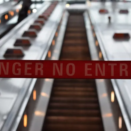 السعودية تدعو لتجنب السفر إلى غينيا وتنزانيا بعد تفشي فيروس ماربورغ.. أعراضه وطرق انتقاله - الصورة من unsplash