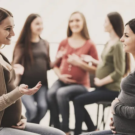 صورة لمجموعة من الحوامل