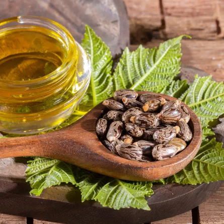 خلطات طبيعية