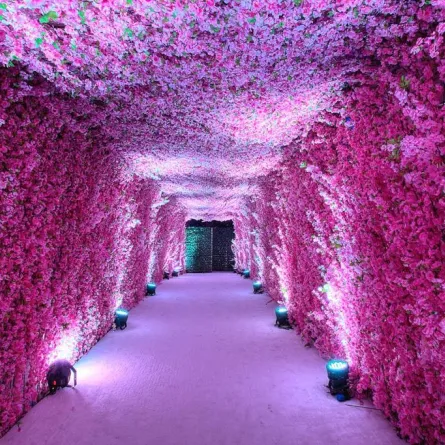 مدخل حفل زفاف مكسو بالزهور