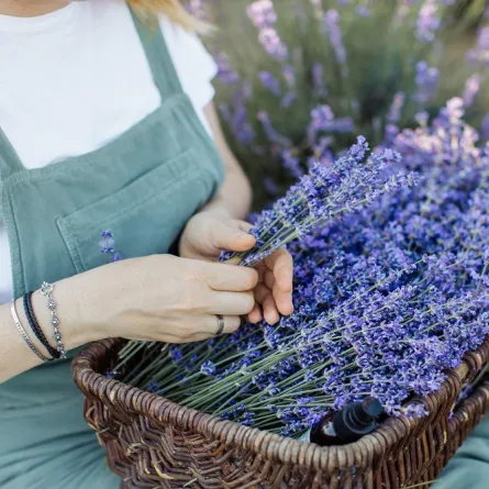 فوائد شرب الخزامى «المصدر: pexels»