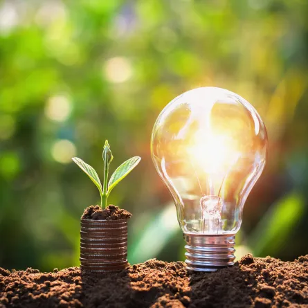 عند احتياج أي شركة لمبلغ ما، في إطار التمويل، يمكن إصدار الصكوك