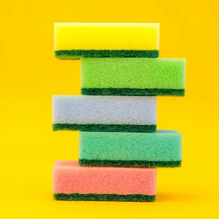 إسفنجة المطبخ