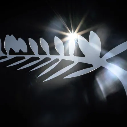 This photograph shows the logo of the Palme d'Or ahead of the 76th Cannes Film Festival in Cannes. (Photo by Loic VENANCE / AFP)