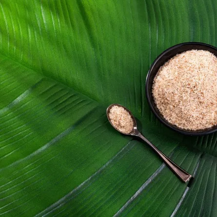 صورة لطبق يحتوي على قشور السيليوم