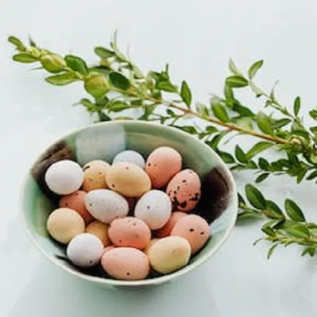 فوائد بيض الحمام «المصدر: pexels»