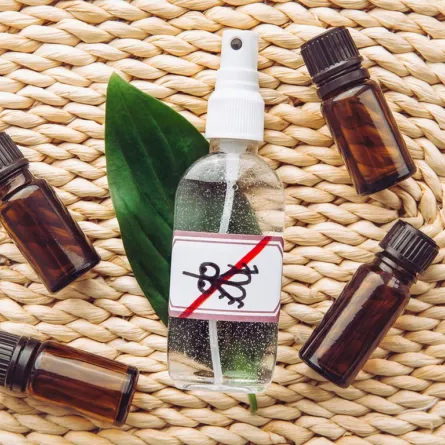 حيل للتخلص من الناموس