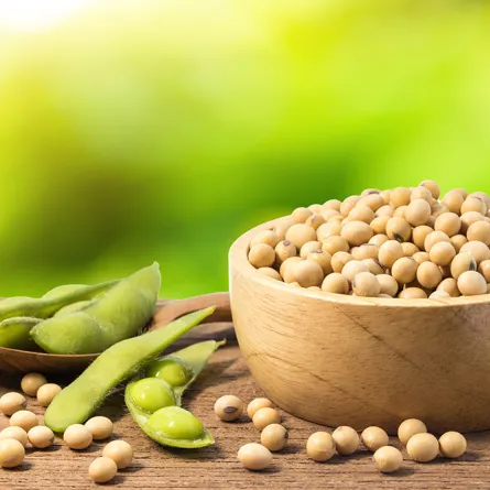 فول الصويا للتسمين (مصدر الصورة Shutterstock)