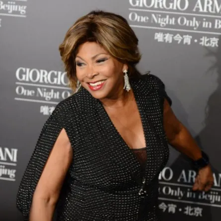 تينا تيرنر «Tina Turner» -مصدر الصورة: MARK RALSTON / AFP