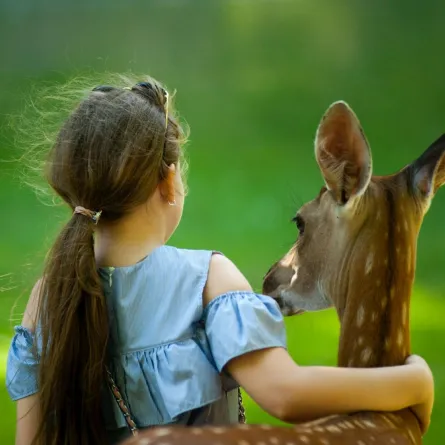 صورة فتاة تحتضن غزالاً