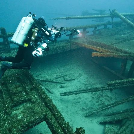 صورة تعبيرية