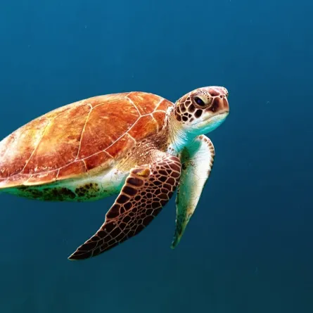 صورة تعبيرية. الصورة من موقع unsplash