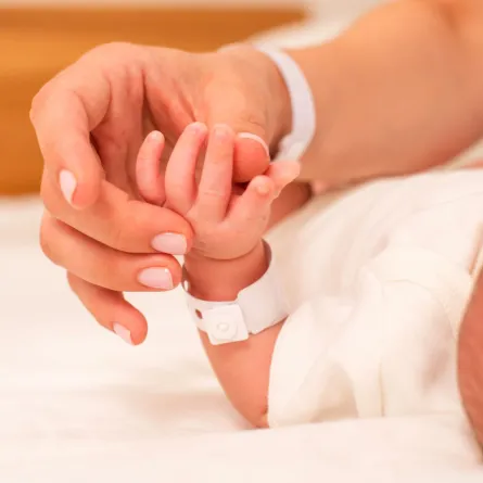 صورة للولادة الجديدة