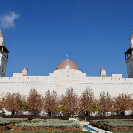 قصر الحسينية