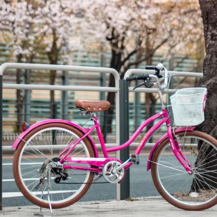 اليوم العالمي للدراجات