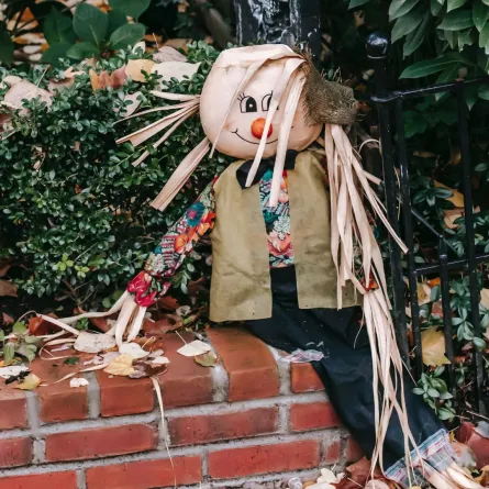 خيال المآتة