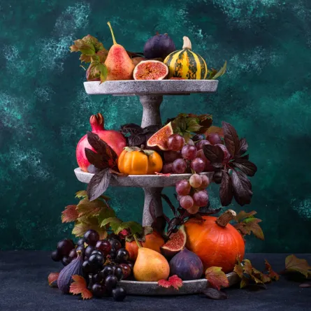 معايير الغذاء