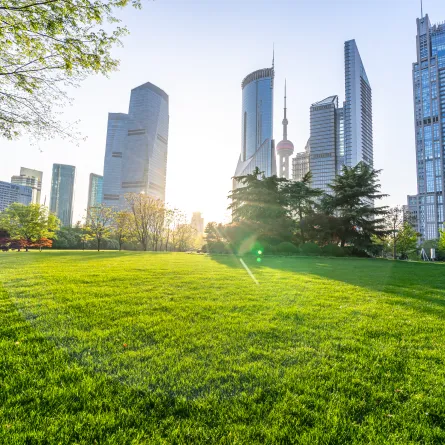 الاسترخاء في المتنزهات الطبيعية