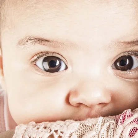 صورة لعيني مولود