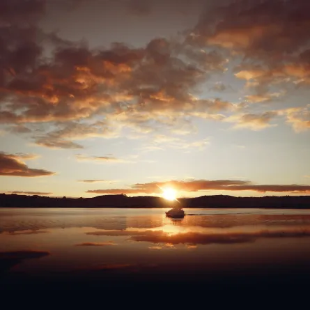 صورة تعبيرية