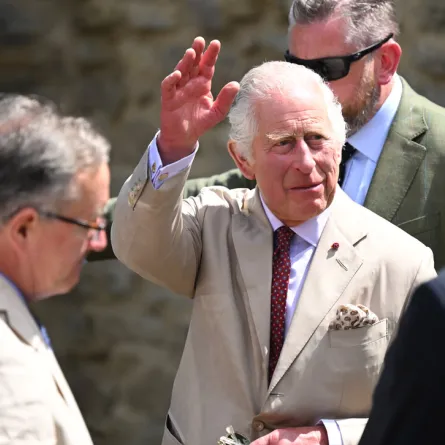 الملك تشارلز  King Charles في رومانيا (مصدر الصورة: Daniel MIHAILESCU / AFP)