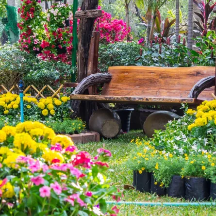 كيفية اختيار الزهور والورود للحديقة المنزليّة؟