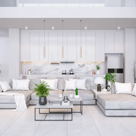 الشتول الخضر تُجمّل الفراغ الداخلي